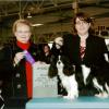 A lovely boy we used to own, taking his first points - a 3 point major!  Way to go Bev!
